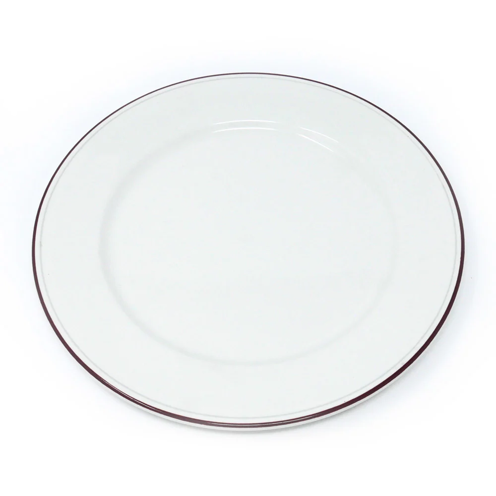 Assiette plate Dudson - 10 po · 24/caisse — image 2
