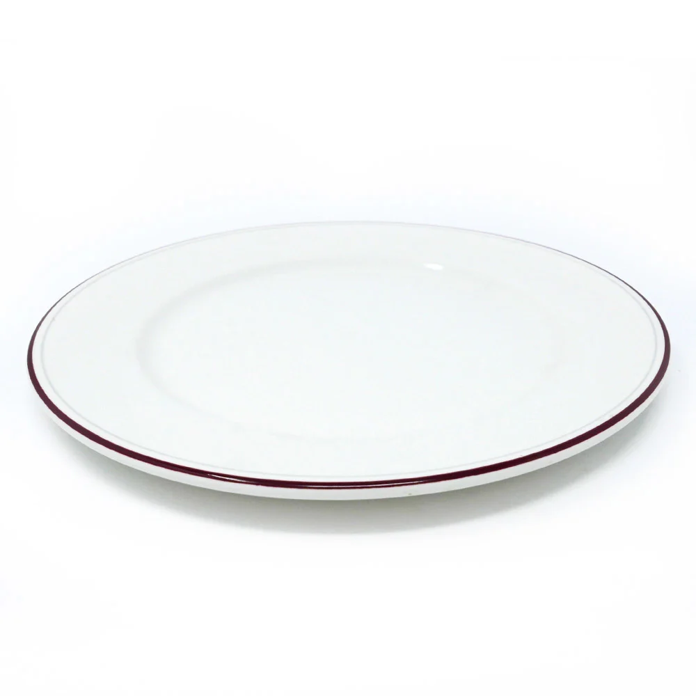Assiette plate Dudson - 10 po · 24/caisse — image 3
