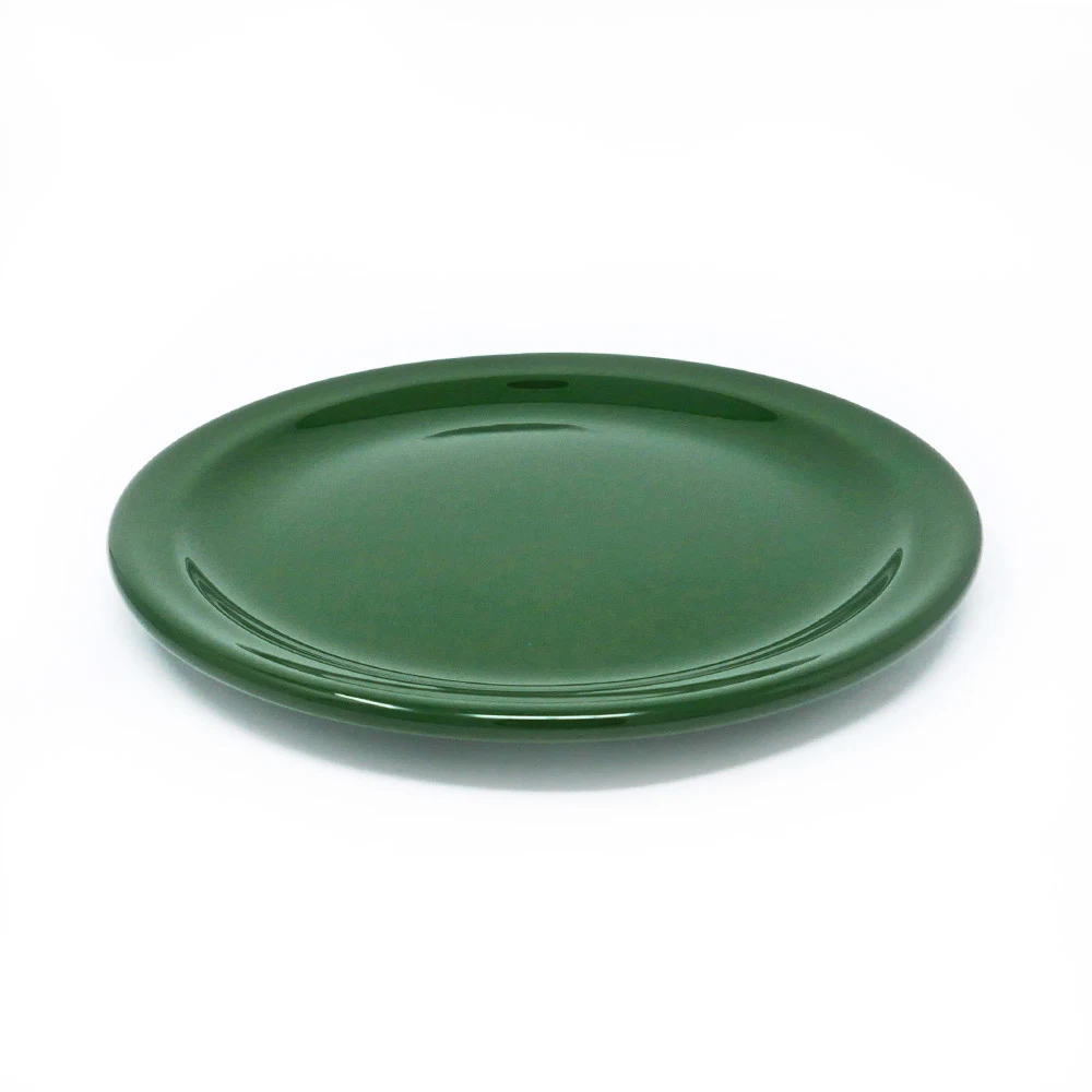 Assiette plate Dudson Paintbox Dark green - 7 po · 36/caisse — image 3