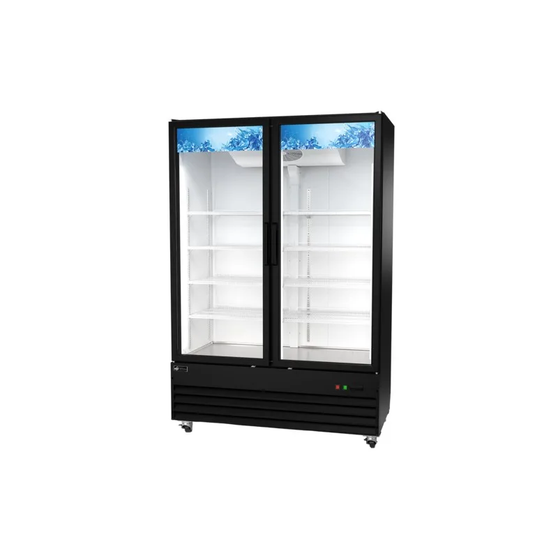 Réfrigérateur présentoir 2 portes vitrées battantes EFI C2-54GDX, 54 po, noir