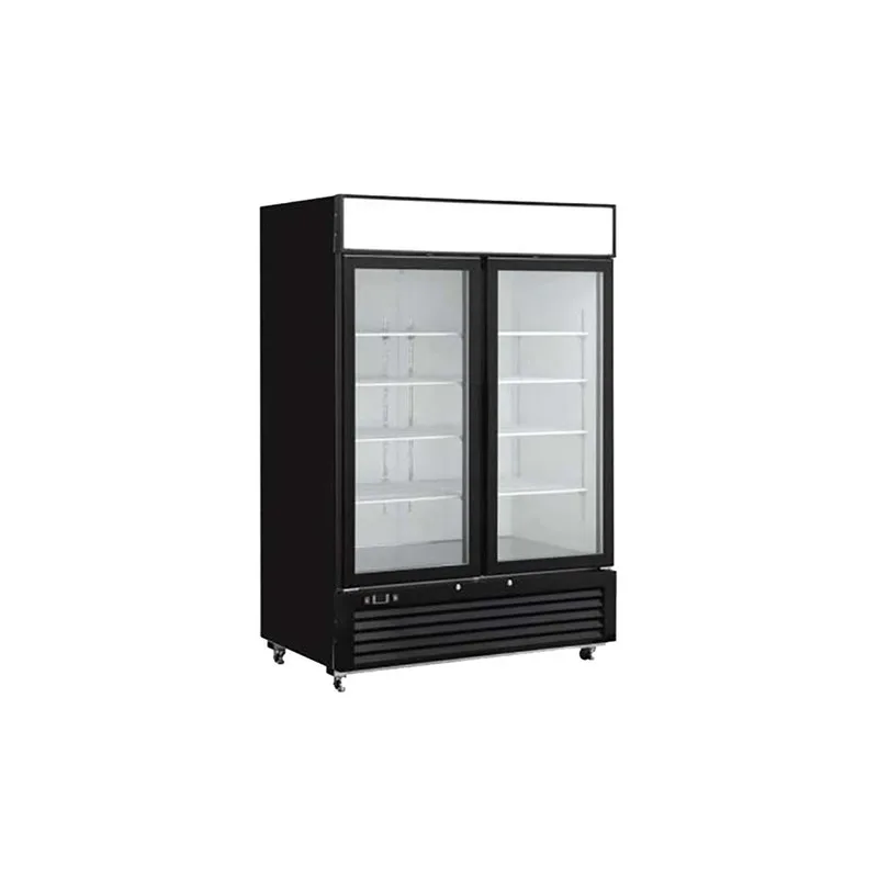 Congélateur présentoir EFI F2-48GDVC, 2 portes vitrées, 47,2 po, noir