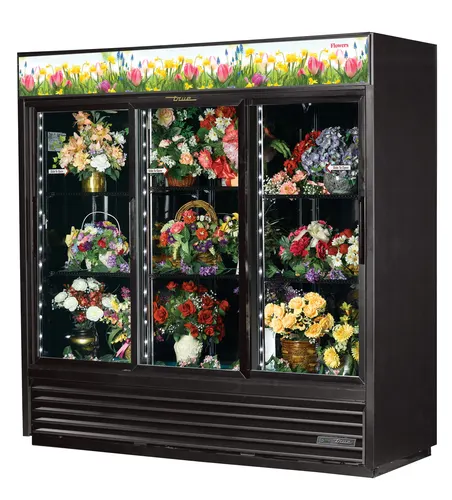 Réfrigérateur True GDM-69-LD